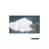 Alumium Powder thumbnail-1