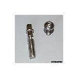 Stainless Steel Screw thumbnail-1