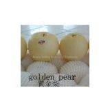 Golden Pear thumbnail-1