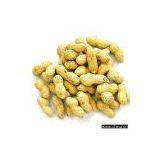 Sell Chinese Peanut Kernels thumbnail-1