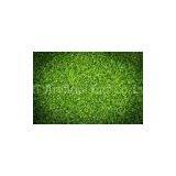 Putting Green Artificial Turf