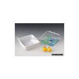 Blackberry Punnet thumbnail-1