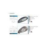 Street Light Project of Induction Lighting