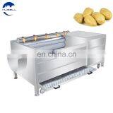 Potato Processing Machinery thumbnail-6