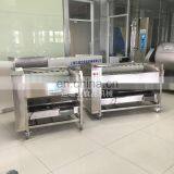 DARIBO Commercial Root Vegetable Washing Machine,Potatoes,Carrots Peeling Cleaner thumbnail-6