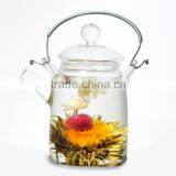 The Most Beautiful Blooming Tea