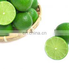 TOP FOOD FAMOUS FOR VIIET NAM GREEN LEMON HIGH QUALITY WITH BEST PRICE thumbnail-3