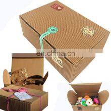 Chilly Treat Gift Boxes Set of 10 Bakery Boxes Decorative Cupcake Cookies Chocolate Boxes, 37 Stickers Included
