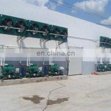 Good Price Chicken Slaughtering Machine thumbnail-4