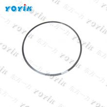 Yoyik offer Elastic snap ring HPT200-330-03-03 for power station