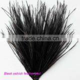 Black ostrich feather pad for trimming