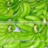 Fresh Banana thumbnail-3