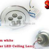 Edison LED Downlight 12V With Power Supply