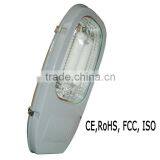Induction Lamp Street Light With Diamond Reflector