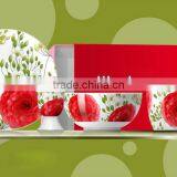 3PCS BREAKFAST SET CHILDREN BREAKFAST SET SDK0029