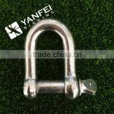Stainless Steel D Shackle With Screw Pin thumbnail-4
