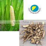 100 Pure Natural Grassleaf Sweelflag Rhizome Herb Oil