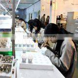 Shenzhen Hifly Technology Co., Ltd. company overview - view 3 thumbnail