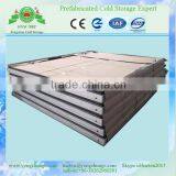 Frozen Fish Cold Storage Door thumbnail-1