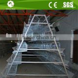Automatic layer poultry a type chicken cage