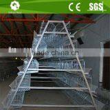Automatic Layer Poultry a Type Chicken Cage