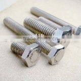 China Fastener Hexagonal Bolt DIN933