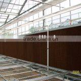 Network Type Kyws 9.6m Glass Greenhouse thumbnail-3