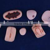 Medical Manikin,medical Model,teaching Medical Model thumbnail-1