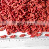 Ning Xia Manufacturer Goji Berries Dried Fruit thumbnail-4