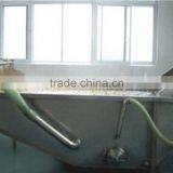 Fruit Cleaning Machine