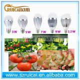 fruit light grow light lamp modern garden light 5w3w7w9w12w