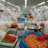 Shanghai Linghang Industrial Group Co., Ltd. company overview - view 2 thumbnail