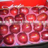 Red Apple Fruits