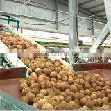 Desiccated Coconut High Fat in Viet Nam thumbnail-2