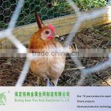 Hexagonal Wire Mesh Chicken Palace and Unobstrusive Chicken Fencing