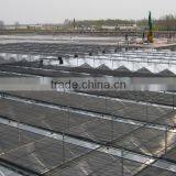 Growing Greenhouse thumbnail-3