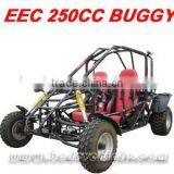 EPA 250CC BUGGY Popular
