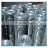 best selling products Welded mesh for made in china/galvanized welded iron wire mesh/galvanized after welding cloth