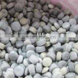 PP,PE Water Ring Pellets Making Machine( Singal Stage ) thumbnail-1