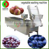 Factory Output, Mango, Pumpkin and Pineapple Washing Quipment thumbnail-3