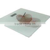 Low Price Digital Weight Bathroom Body Scale
