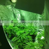 Plant Led Grow Box Greenhouse Grow Tent for Hydroponics