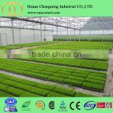 Garden Tunnel Greenhouse/garden Used Greenhouses for Sale thumbnail-3