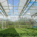 BLD Large Multi-span PE Greenhouse for Fruits thumbnail-3