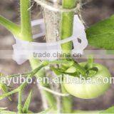 Agricultural Clip Tomato Clip 25mm thumbnail-5