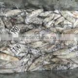 Wholesale 100g Whole Round BQF Block Frozen Loligo From China thumbnail-1