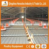 China low price hot sale automatic equipment chicken shed poultry farm