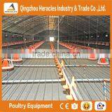 Heracles Suppliers Hot Sale Chicken Poultry Farm Equipment thumbnail-1
