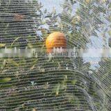 Insect Mesh Roll thumbnail-1