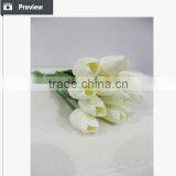 Hot Selling Tulip for Home Decoration Pieces and Valentine's Day Gift Flower thumbnail-3
